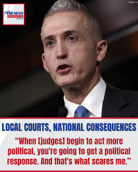 After President Donald J. Trump signed an executive order to further secure  voting integrity, almost 20 states have filed lawsuits to stop the  President's move. Former congressman Trey Gowdy breaks down the