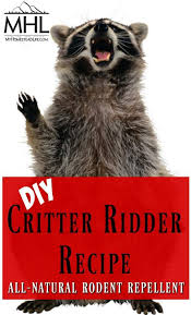 I want a natural mouse repellent or to deter mice. Diy Critter Ridder Recipe Natural Rodent Repellent My Homestead Life