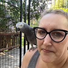 Best time to take adopted dog to the Oregon coast?