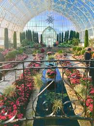 Top 100 Best Photos In The World Beautiful Flower Campanula Flowers Celosia Flower Pincushion Flow Beautiful Architecture Beautiful Buildings Beautiful Places