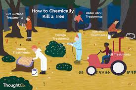 6 Ways To Chemically Kill A Tree Groundwater contamination is one of the primary problems harming the international global if we all educate ourselves on the ways our specific actions harm the environment, we can begin acting more responsibly. we can counteract this by helping plant trees and using more recycled materials.