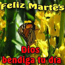 Maybe you would like to learn more about one of these? Feliz Martes Bendiciones Bonitasimagenes Net