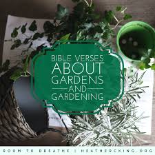 Yet i tell you, not even solomon in all his splendor was dressed like one of these. Bible Verses About Gardens And Gardening Heather C King Room To Breathe