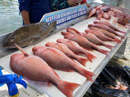 Book a Guide James deals McCanless at