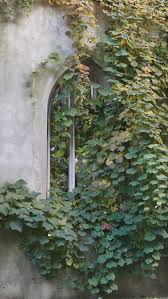 Dark Academia Aesthetic Wallpaper Wallpaper Sun Dark academia aesthetic | tumblr. dark academia aesthetic wallpaper