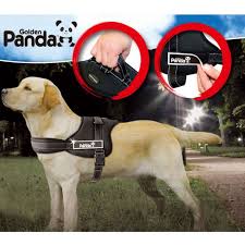Pin On I Love My Dog