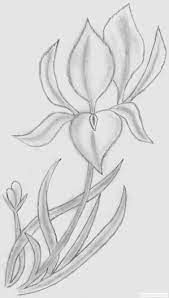 Get your personal loan rate today. Desen Creion 1283630124 Desene In Creion Cu Flori Deeascumpik Flower Drawing Drawings Art