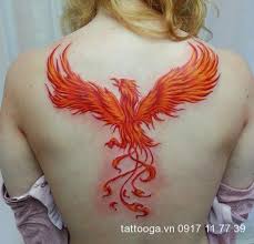 Maybe you would like to learn more about one of these? Tim Hiá»ƒu Vá» Hinh XÄƒm PhÆ°á»£ng Hoang Lá»­a Ä'áº¹p Nháº¥t