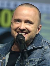 We did not find results for: Aaron Paul Nickelodeon Fandom