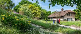 The garden is also open to the public two days a week, but only to a limited extent because of the. Https Www Xn Meriangrten R8a Ch De Besuch Html