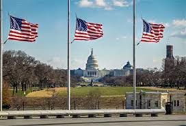 Terror races through the world's major cities. Amazon Com Aofoto 7x5ft American Flag Us Capitol Background Patriotic Usa Banner Congress Democracy Grand Building Photography Backdrop Federal Govement Independence Day Parade Veteran Washington Dc Photo Props Camera Photo