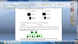 Try this amazing pedigree analysis practice quiz which has been attempted 10705 times by avid quiz takers. Harry Potter Answer Key Youtube