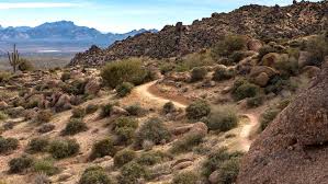 Oct 16, 2018 · the mcdowell sonoran preserve commission consists of seven (7) citizen members. Mcdowell Sonoran Preserve Phoenix Relocation Source