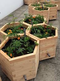 Bac De Permaculture Bac De Jardinage Jardiniere En Bois Fleurs En Bois