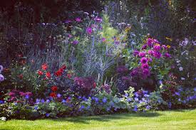 If you want more bang for your buck, look no further than herbaceous perennials. How To Grow A Garden From Seed The Home Page
