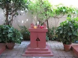 نتيجة بحث الصور عن Tulasi Plant In Temples And Villages Tulsi Plant Tulasi Plant Tulsi Pot