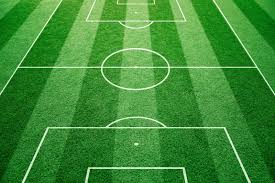 Trainingshoedjes kunnen zowel binnen als buiten worden gebruikt. Alles Dat Je Moet Weten Over Kunstgras Voetbalvelden Infobron Nl