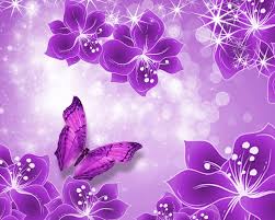 The color purple is best known for meaning royalty, nobility, luxury, power and ambition. Free Download Wallpaper Purple Best Amazing Butterfly Wallpapers Desktop 1920x1080 For Your Desktop Mobile Tablet Explore 46 Pink Purple Wallpaper Blue And Purple Wallpaper Purple And White Wallpaper Pink