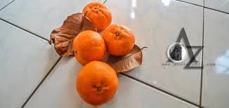 Ibarat perahu takkan karam sebelah arti peribahasa : Azstory311 C