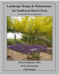 Image result for Cordia afra