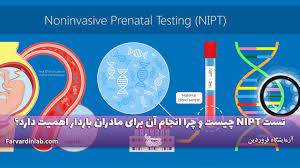 آزمایش FSH + تفسیر آزمایش FSH | هومکا