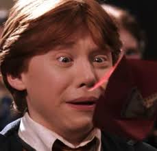 Who is your favorite character in Harry Potter. My favourite is Fred and  George