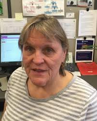 How can I help my holly bush with brown leaves and dead branches