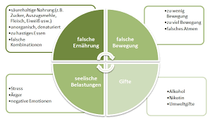 Grunde Fur Eine Ubersauerung