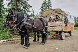 We did not find results for: Black Diamond Rv Show