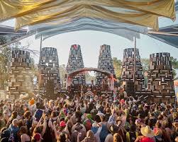 Image result for Ozoroa homblei