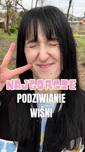 Smutne i Pochmurne Hanami: Japonia vs Holandia