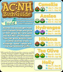 Dazzabound Acnh Bush Guide Imgur In 2020 New Animal Crossing Animal Crossing Animal Crossing Memes