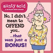 Aunty Acid Wall Calendar 2019 Day Dream 9781635713466 Amazon Com Books