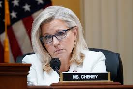 Liz Cheney says Mike Johnson should pass Ukraine aid even if it means  losing gavel