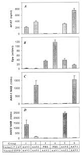 Image result for White 1999 AAV