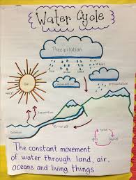 List Of Water Cycle Anchor Chart Kindergarten Pictures And