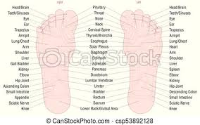 Foot Reflexology Zone Massage Areas Names