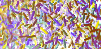 Microbiome research: Getting the big picture on microorganisms ...