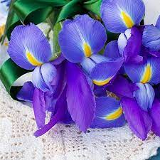Symbolic Meanings Of Flowers That You Ve Been Wanting To Know Flower Meanings Iris Flowers White Rose Symbolism