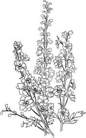 Pin On Flowers