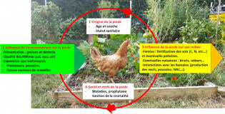 L'installation d'un poulailler industriel destiné à produire des volailles de chair est prévue dans la commune de chalamont dans le département de l'ain (01), en zone dombes. Les Poulaillers Familiaux Urbains Opportunites Et Limites De La Convergence Des Usages Dans Un Contexte Interdisciplinaire De Transition Ecologique