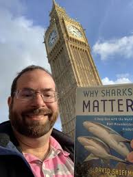 One year of “Why Sharks Matter:” What's different in shark science and  conservation now?