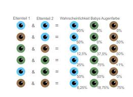 Vererbung dominant rezessiv bei kaninchen. Dominant Rezessives Allel Schule Gesundheit Und Medizin Medizin