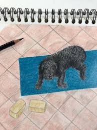 Illustration En Crayon De Couleurs Yogi Chien Buntstifteichnung Yogahund Illustration Chien Tapis Yoga