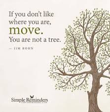 Image You Are Not A Tree Simple Reminders Tree Quotes Keep Moving Forward