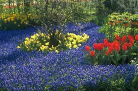 Check spelling or type a new query. Gartenverein Erholung