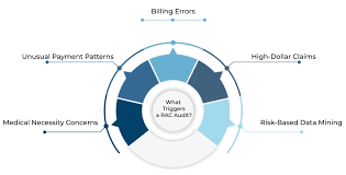 Image result for Recovery Audit Contractor