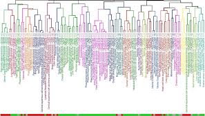 Adenocarcinoma cancers being usually in one of the following organs: Clustering Of Motifs Among Different Cancer Tissues For Each Motif The Download Scientific Diagram