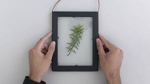 Pour les articles homonymes, voir herbier (homonymie). Herbier Sous Verre Un Diy Facile Et Pas Cher Femme Actuelle Le Mag