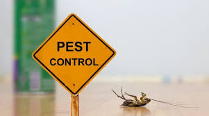 Protect your family, home & lawn with the termite and pest control services you need & the customer service you deserve from the #1 rated kansas city termite & pest control company. Are Pest Control Companies Worth It Big Dave S Pest Control